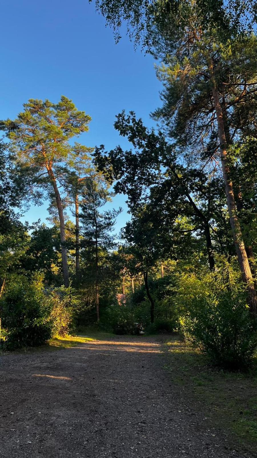 Vakantiehuis Vliegend Hert Veluwe Nunspeet Eksteriør bilde