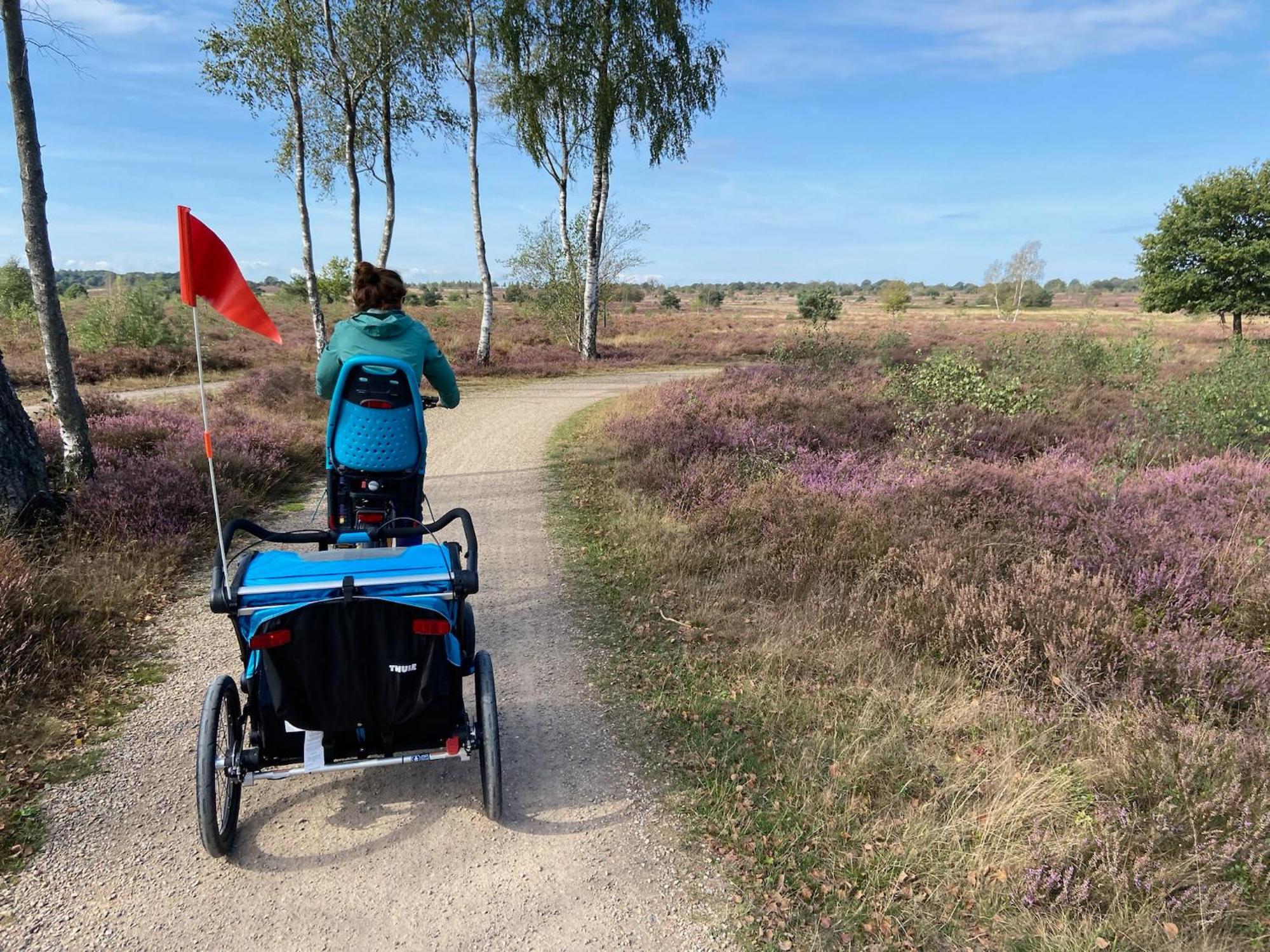 Vakantiehuis Vliegend Hert Veluwe Nunspeet Eksteriør bilde