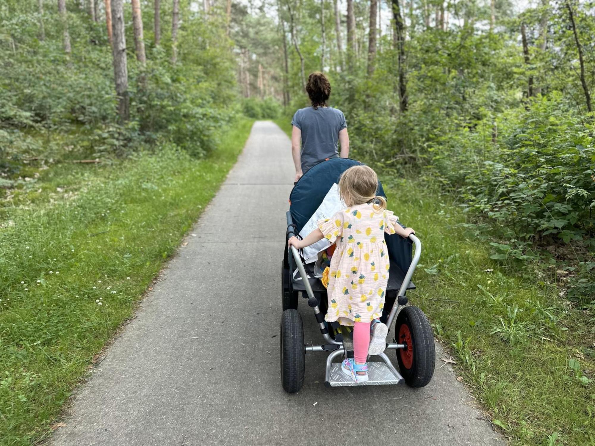 Vakantiehuis Vliegend Hert Veluwe Nunspeet Eksteriør bilde